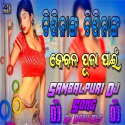 Tini Nang (Sambalpuri Singh Baja Tapa Tap Dance Remix) Dj Babu Bls