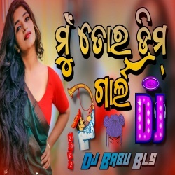 Mu Tora Dream Girl (Girls Dimand Remix) Dj Babu Bls