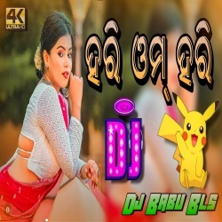 Hari Om Hari Hari (Mental Dance Remix) Dj Babu Bls.mp3