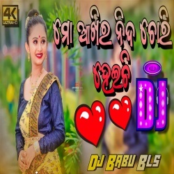 Mo Akhira Nida Chore Heichi (Bobal Dhoki Dance Remix) Dj Babu Bls.mp3