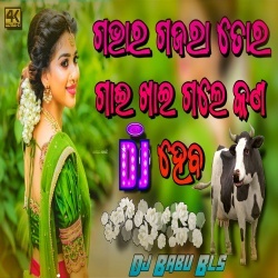 Gabhara Gajara Tora Gai Khai Gale Kn Heba (Matal Dance Remix) Dj Babu Bls.mp3