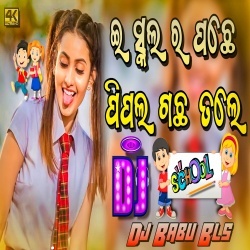 School Ra Pache (Matal Dance Remix) Dj Babu Bls.mp3