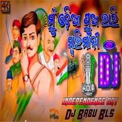 Mun Odia Pua Bhari Swabhiman (August 15 Special Remix) Dj Babu Bls.mp3