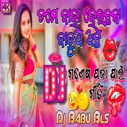 Tame Baha Heicha Na (Matal Dance Remix) Dj Babu Bls.mp3