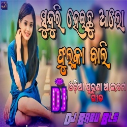 Sunduri Heichu Alo Fulka Bali (Hard Matal Dance Remix) Dj Babu Bls.mp3