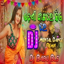 Odhani Phankare Kie Re (Mental Dance Remix) Dj Babu Bls.mp3