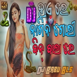 Hai Re Nagin Gori (Sambalpuri Hard Matal Dance Remix) Dj Babu Bls.mp3